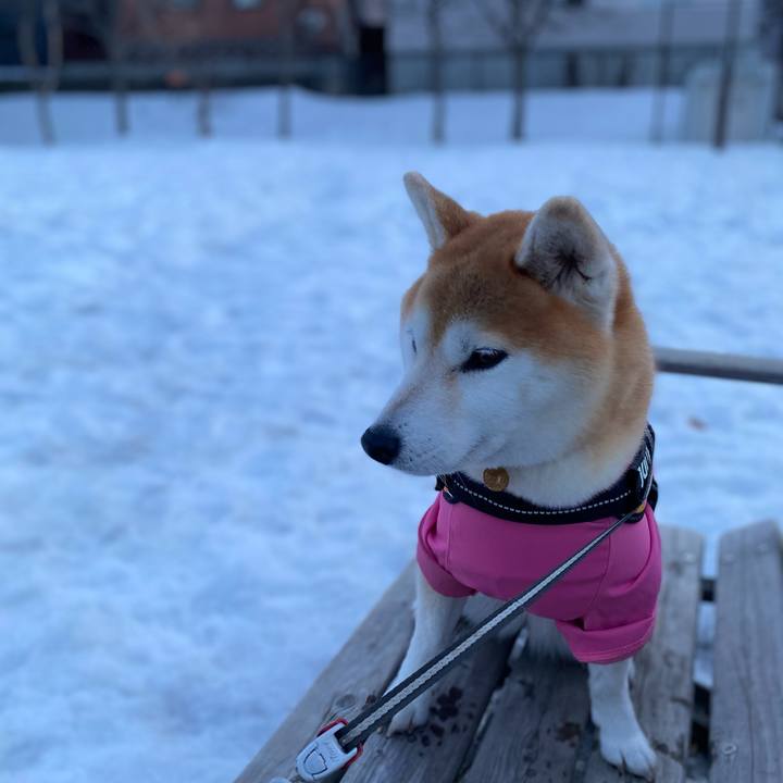 619e0291 6fe3 40bc a965 0bb6d850d6f4 1615901825601