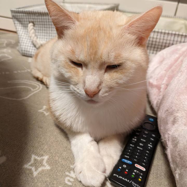 619e0a56 7bca 4d1a a766 bbf609ec8f7a 1703930511372