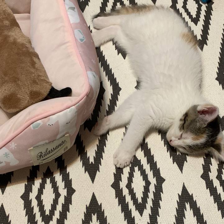 619e5824 c610 4bc2 8069 743e838b0825 1591173552334