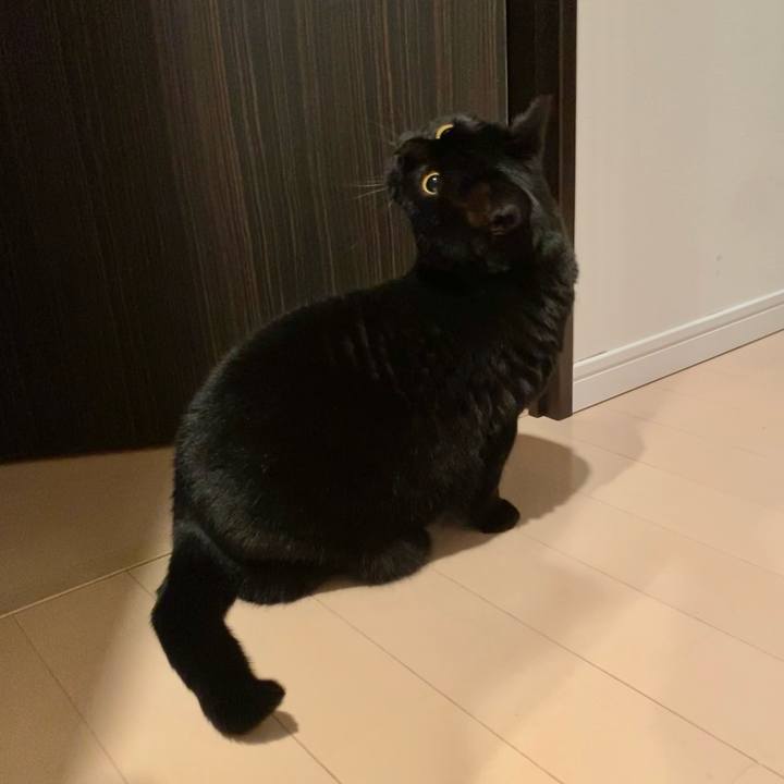 619e70b2 3ed1 4ec7 a319 98c036bf1c03 1675948847110