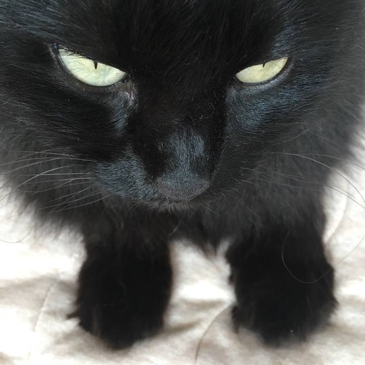 619fa1bf fe43 4da7 967d 3f4d72e25689 1542675103859