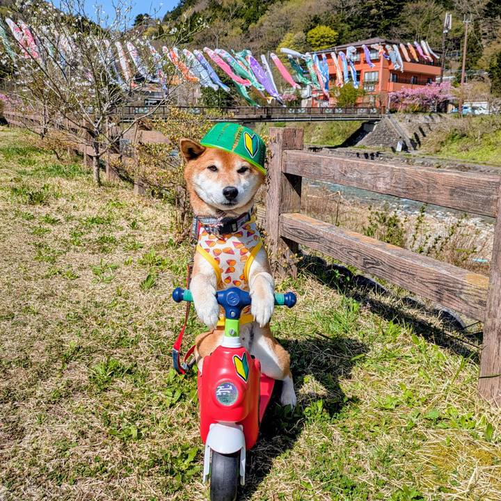 619fb90d 2667 49ef b0f1 bbb640b2b964 1745414605808