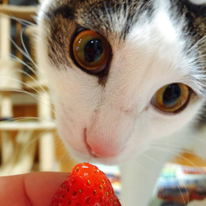 619fe2c4 73de 47d1 a6f7 21ad8e96fdd3 1582026918118