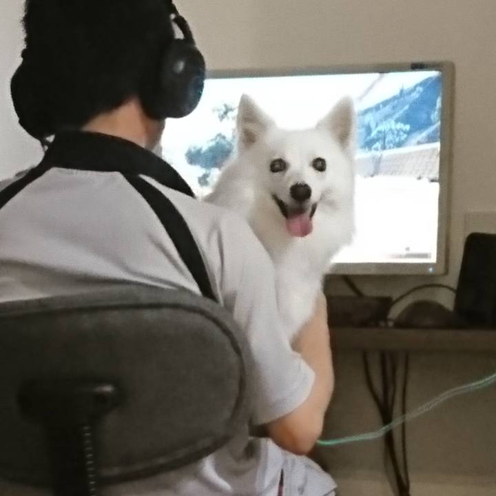 619ffa18 9ecd 408f 8c17 bc3ac4ca0cba 1535032901486