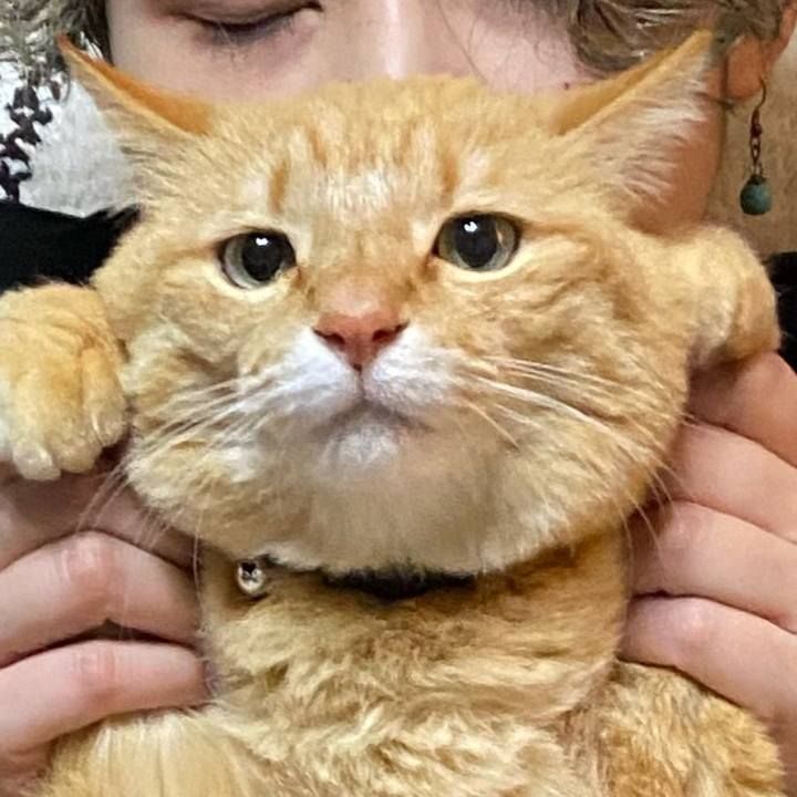 61a00344 de77 4d89 9655 7d38891a520a 1710654993576