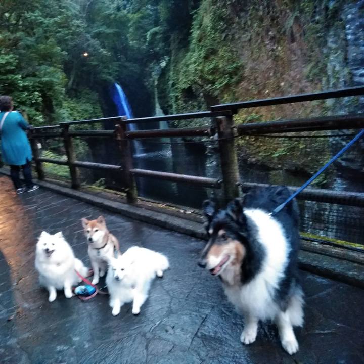 61a08a7a 3d54 423f bc6f 6a14d212f2fa 1557150561103