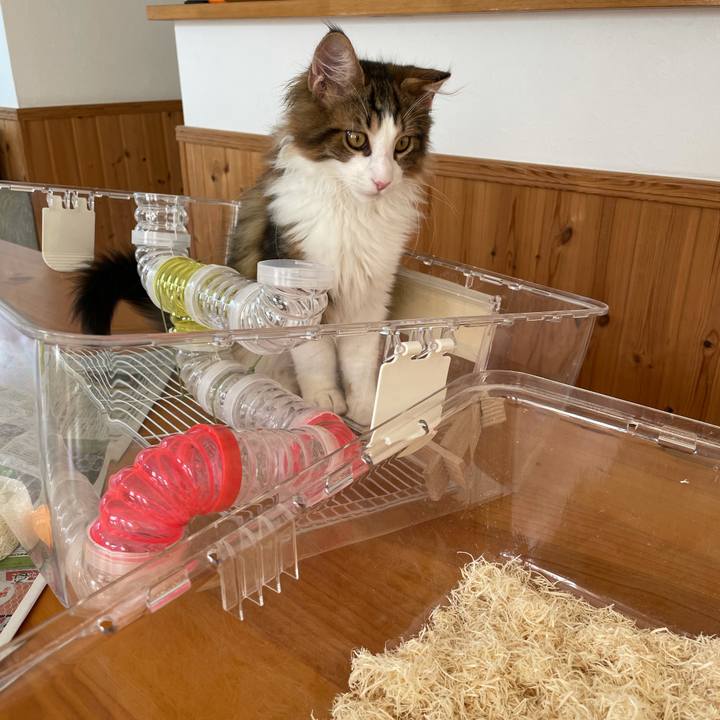 61a0a4e0 2447 451a 9dfa 6f004f4a316f 1636252222722