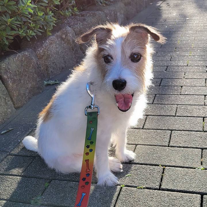 61a0c189 45ff 4994 95a2 2f4f412b3e1c 1763798534343