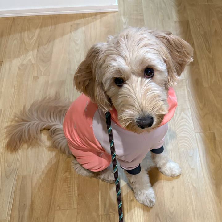 61a0d2a7 9cf7 4141 b267 760b1aef97d4 1759539956527