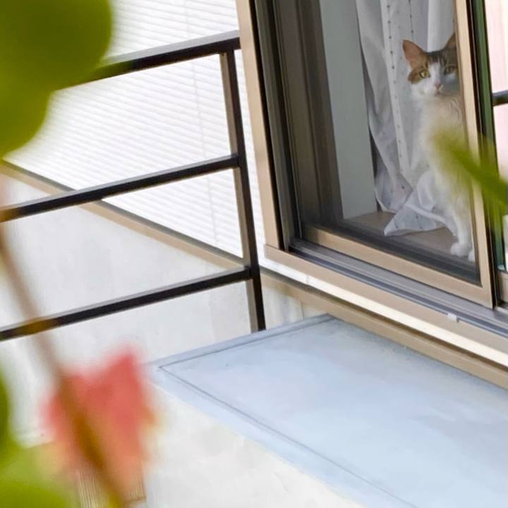 61a0d954 90e3 43cd bfe2 cd8af9f3875c 1751238192623