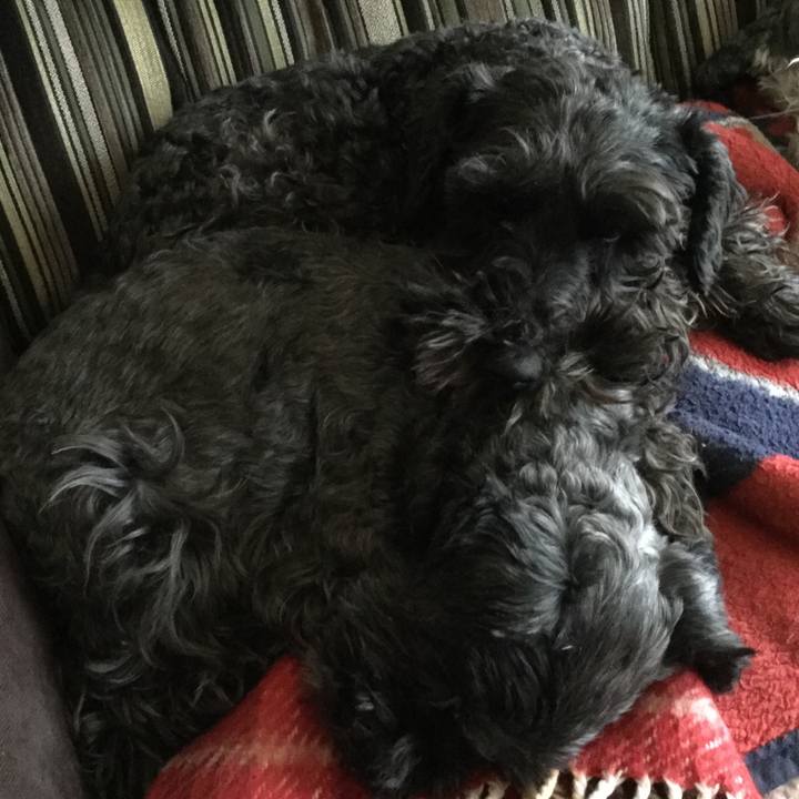 61a0e24a a795 4251 a876 14e298512073 1583459010345