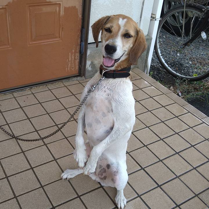 61a127a0 1f31 4b4a 9708 5eff400353c0 1660621657194