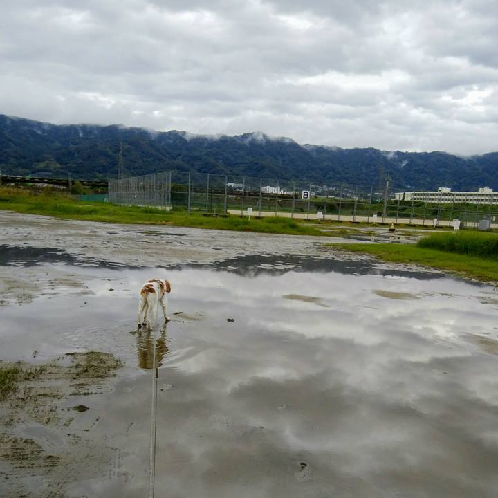 61a13b2d ff91 4b85 aafd 59af74e958f6 1538206130347