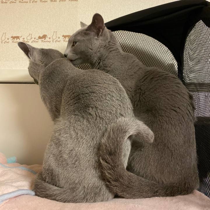 61a18c58 1a09 46aa b5d8 e87d636eeccb 1646367549552