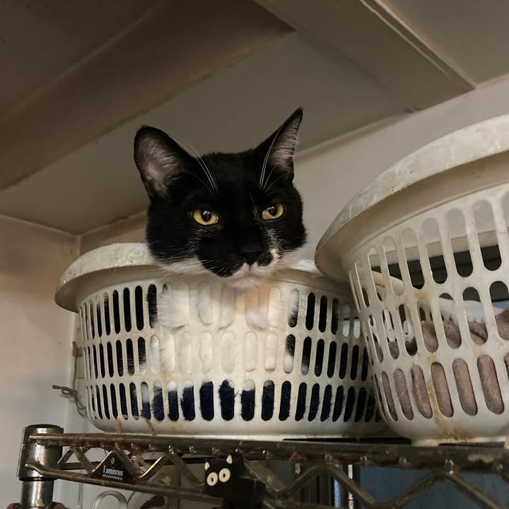 61a1c15c 6a13 4253 b11f 788e6ca1d765 1702163068219