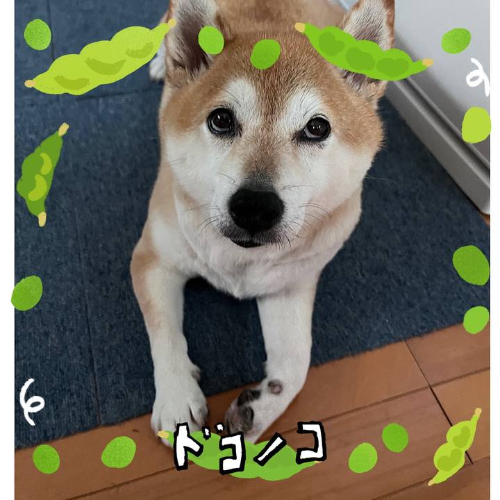 61a2350d 2367 4220 93dd 5b72b9d53392 1720839146024