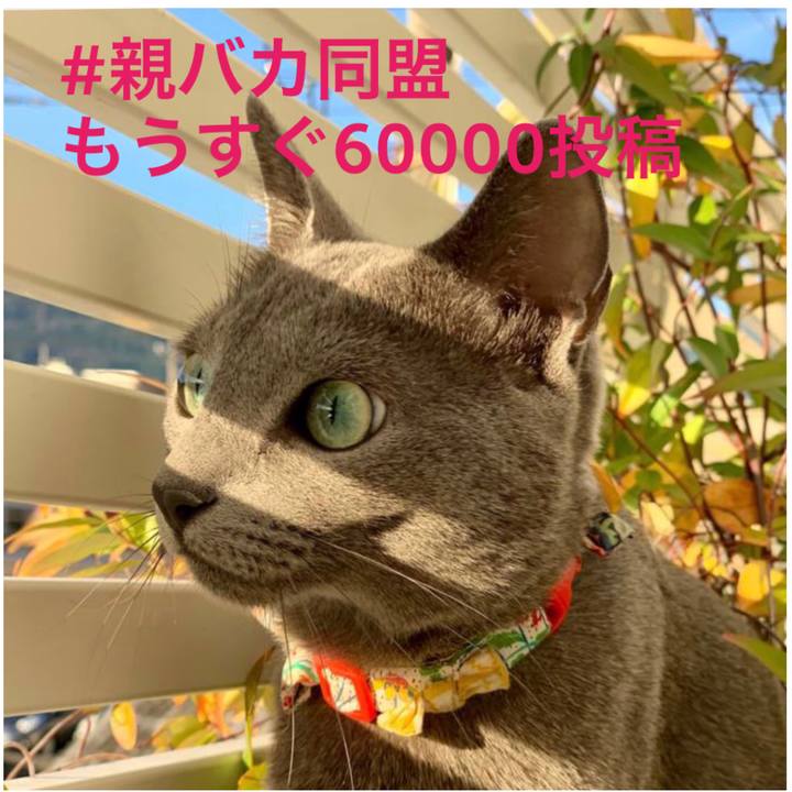 61a268b4 b41c 41fb a721 590b4f7810f0 1580097120370