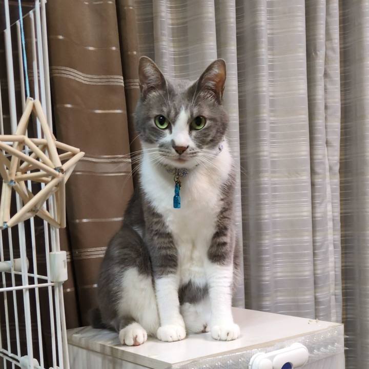 61a26d9b 3935 49c0 964a fb8433edf8f5 1759577847286