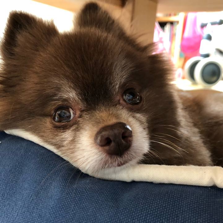 61a26e35 d8ad 4dbf 8d9e 9060adaaa2e5 1554867733883