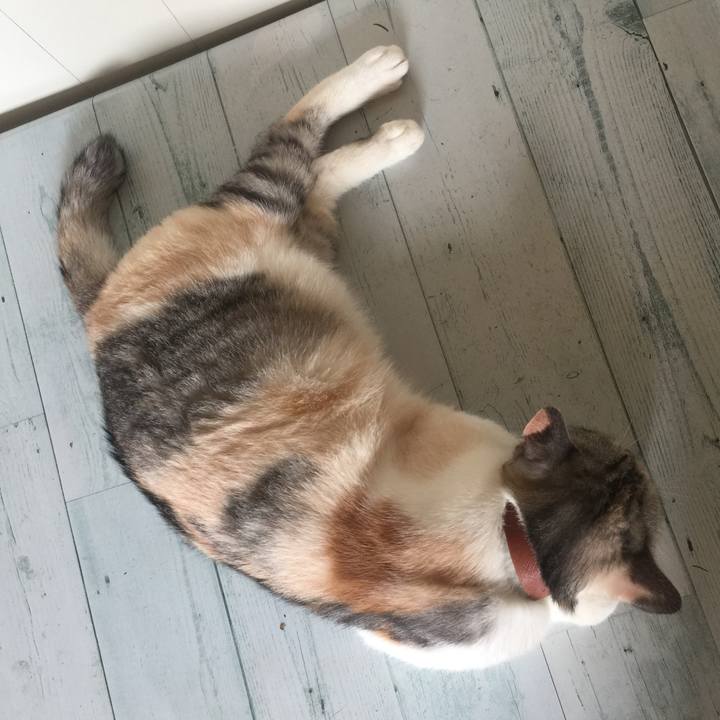 61a28a88 9770 48ca bb74 e716e9669d8f 1567227004848