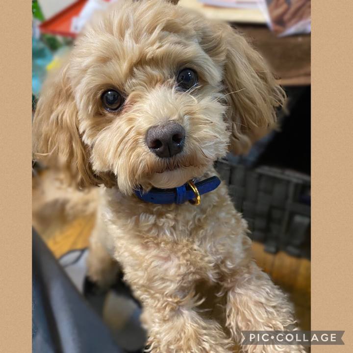 61a2957d 1135 45af 90cf af141b577c81 1678223440492