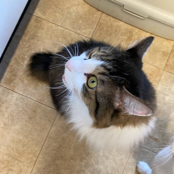 61a2a43f 662f 4d5b b948 690b0f962602 1668985903400