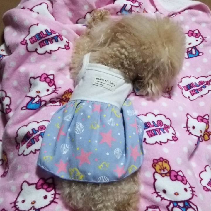 61a2c7cb d5d9 4e0a b1a2 7b8f85161e72 1537967895305