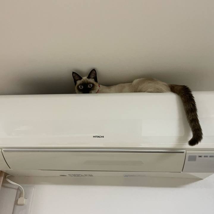 61a34c6b 8341 47e4 9e6a d065f175dfef 1701977578389