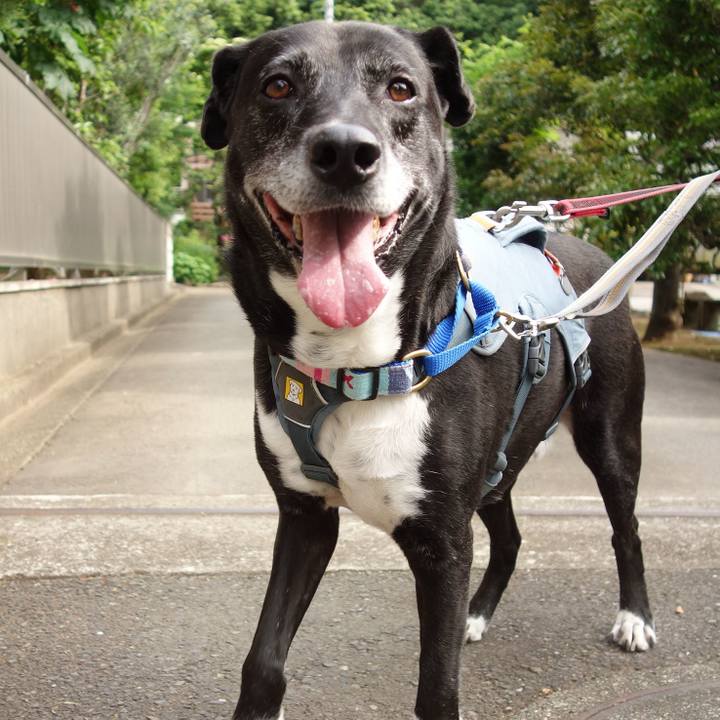 61a35e84 7a1e 4f0a b181 ba0a5571153d 1747355713548