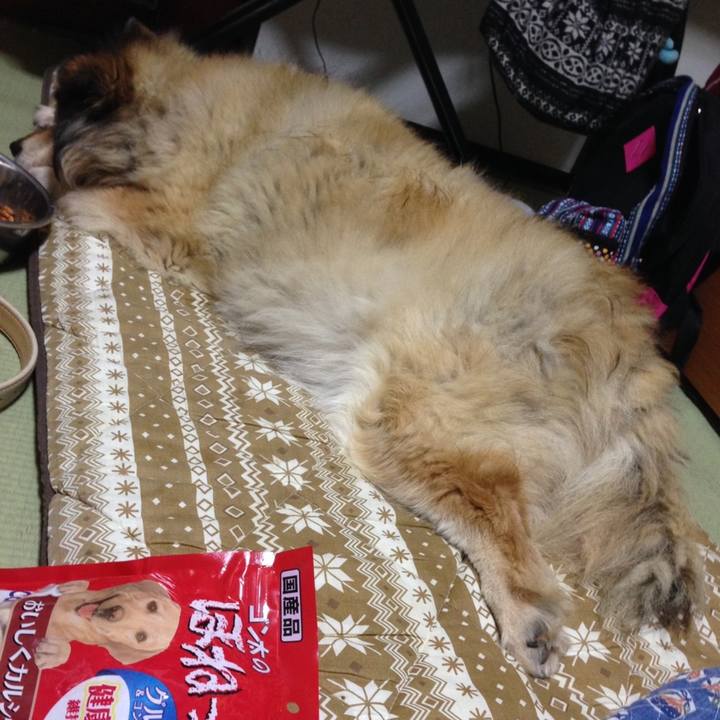 61a36101 faa3 4337 901d 794f56d93c3d 1585403053480