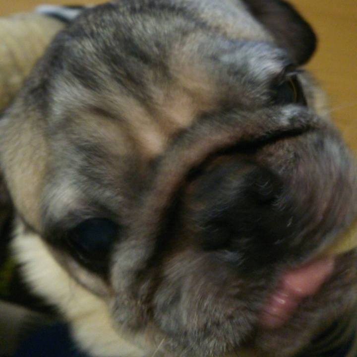 61a371c0 9f47 490a a55e e383ba640c19 1580414253442