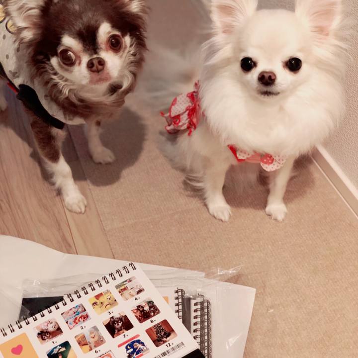 61a3884a 5b20 4997 9fd4 60c46f7e49d7 1606020369272