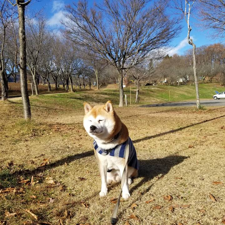 61a3d06a 8e23 43cf a238 b9e063d056de 1638332815197