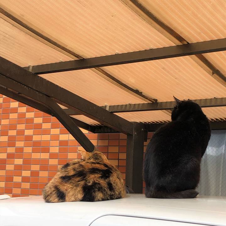 61a3faf6 0c50 4634 9253 a4504c05b3e5 1584630542594