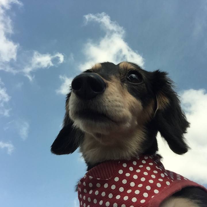 61a40505 1d60 4787 822c 356131900d1c 1525046039905