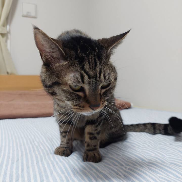 61a40f01 339f 4946 bb3b 84db90f3d131 1627939442272