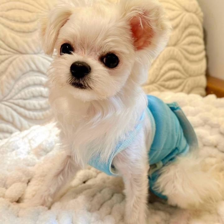 61a40f3d a4a4 4aaf 9f95 57748271ec2b 1762844281277