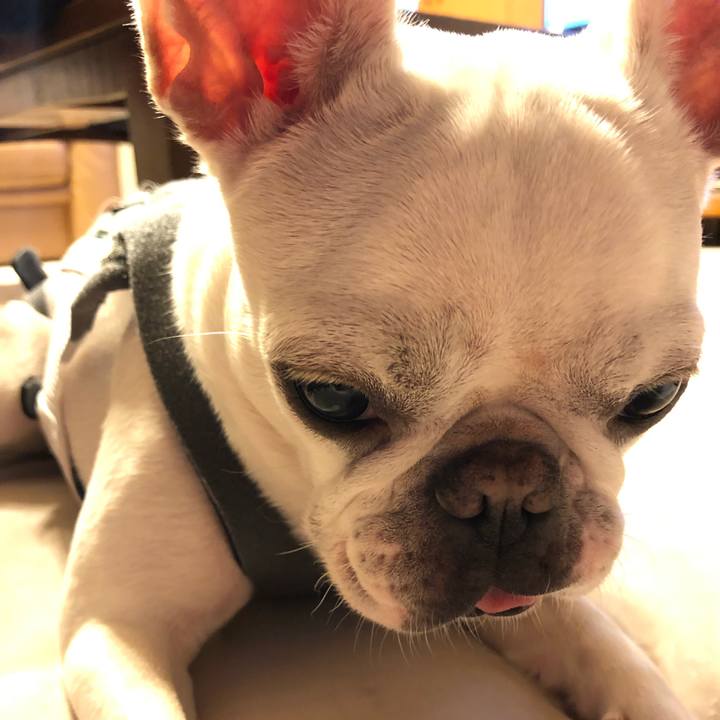 61a41416 fb92 4635 b578 8f9479df06f9 1564221311684