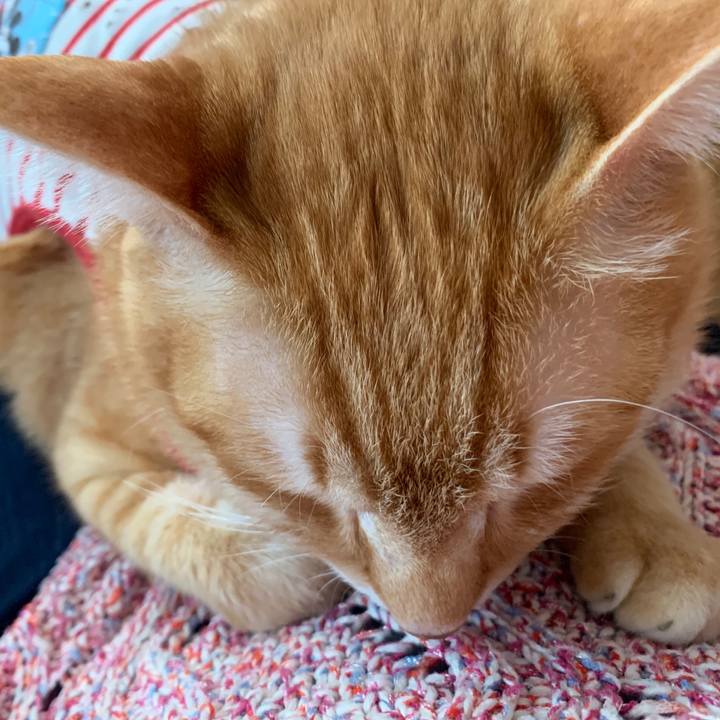 61a44003 c62c 4464 9db4 cd8a73bcb8b5 1584774204255