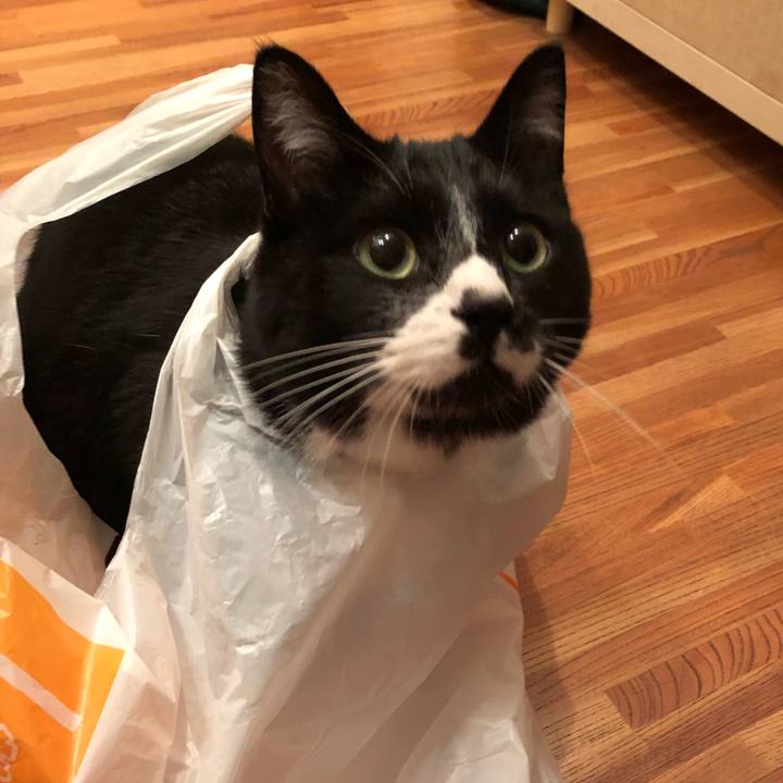 61a443a3 65a1 4fb7 9eaf 4da2bcd41be0 1519012184222