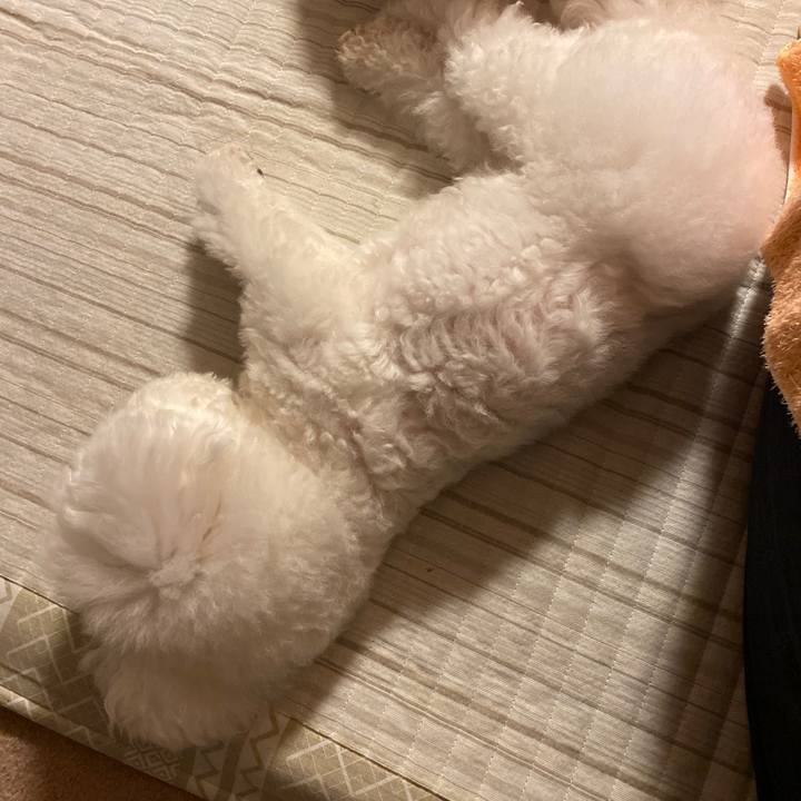 61a44d42 033c 4928 9d2a 54e979bd2eec 1664533674078