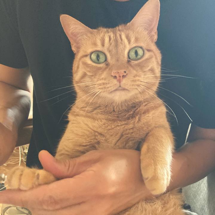 61a477a8 6ea7 4739 aed9 622532db731a 1721433543073