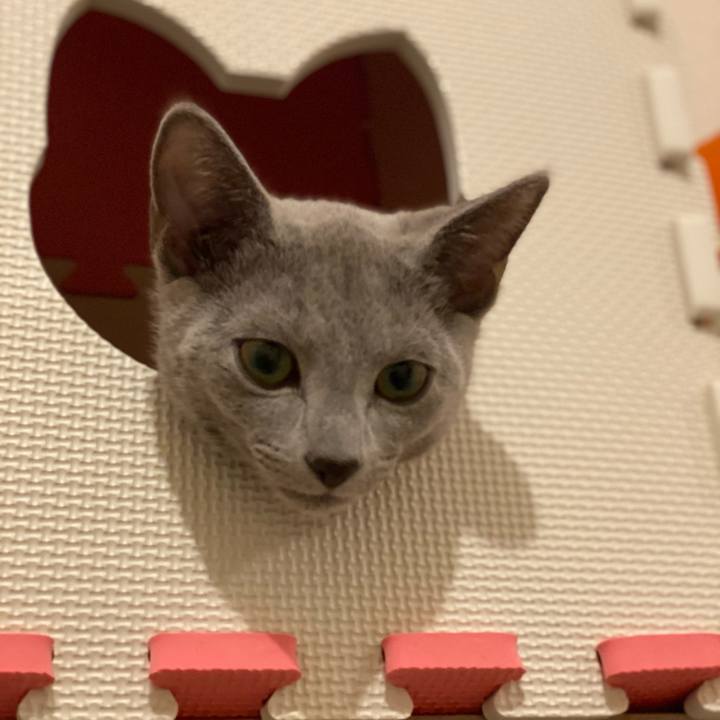 61a48952 11de 44ea 8579 00fa9c4bb920 1606829880129