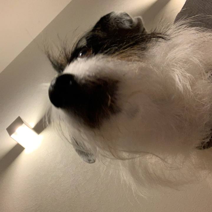 61a4952e c189 4b79 9c6f 8776117b5f3f 1686738145033