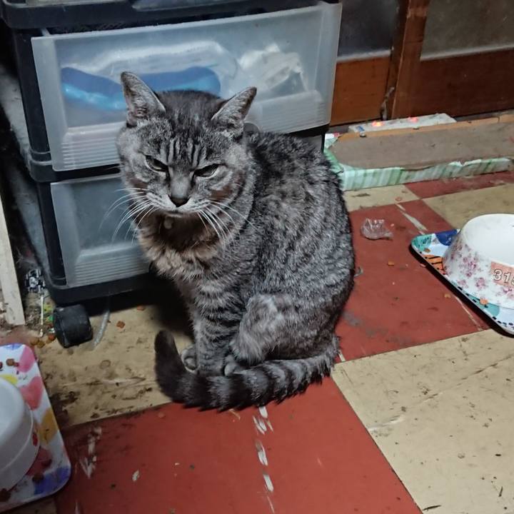 61a4a139 492f 411c 9fcf dd888ef94c36 1572983322973