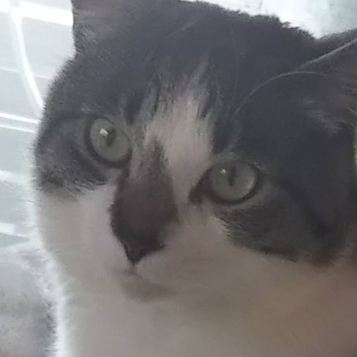 61a4bf2c 6fd9 4103 aab4 b94cef08da08 1641421369700