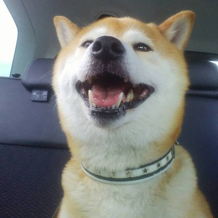 61a4f940 c09d 4db4 9280 8108a910b81c 1541422380725