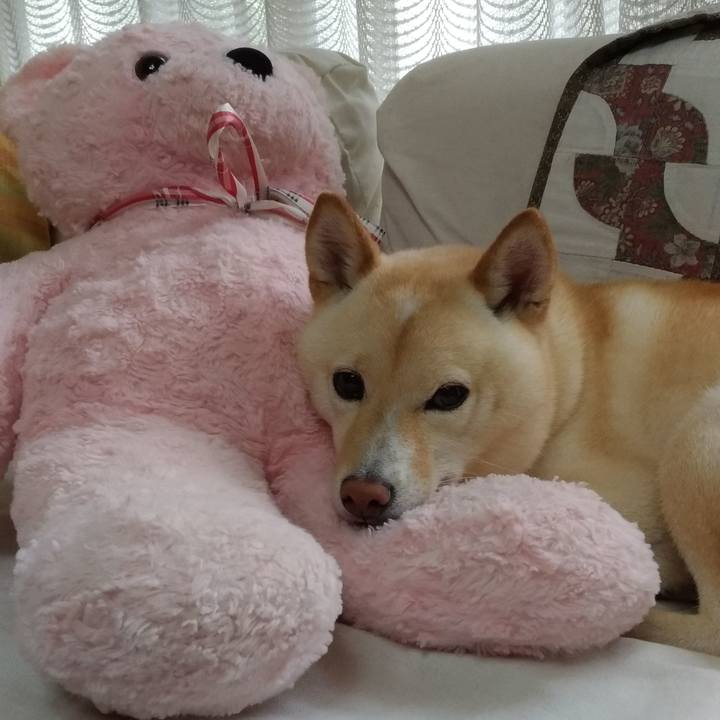 61a52f75 010c 4eb5 b5c4 e5269e0a6fbd 1596861223140