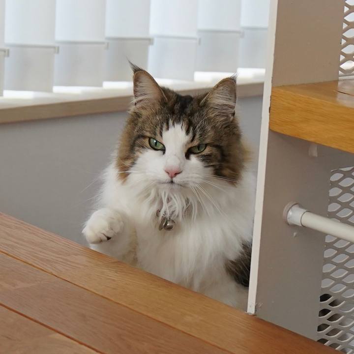 61a5365f 1bb8 4c63 b0cb b3f772ed81ec 1644915239821