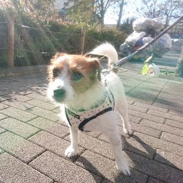 61a59665 b5c4 427b 8a2b 4838d0a3c314 1542479952062